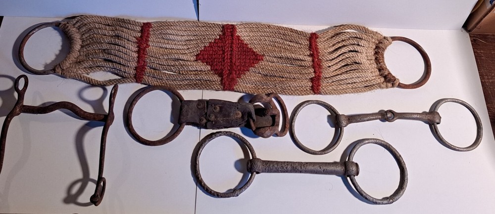 Rustic Western Horse Cowboy Wall Decor Cinch BITS