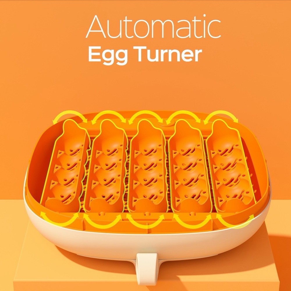 Chickcozy 25 Egg Incubator Automatic Turner Temperature Control w/ Box