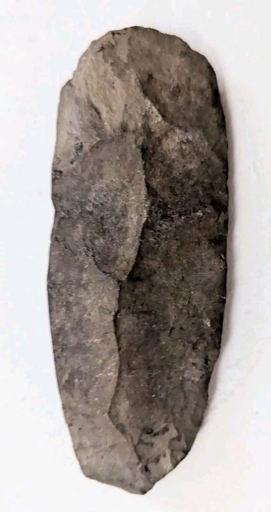 AXEHEAD NEOLITHIC STONE CHISEL TOOL CELT ADZE BLADE TUAREG ARTIFACT NIGER ETHNIX