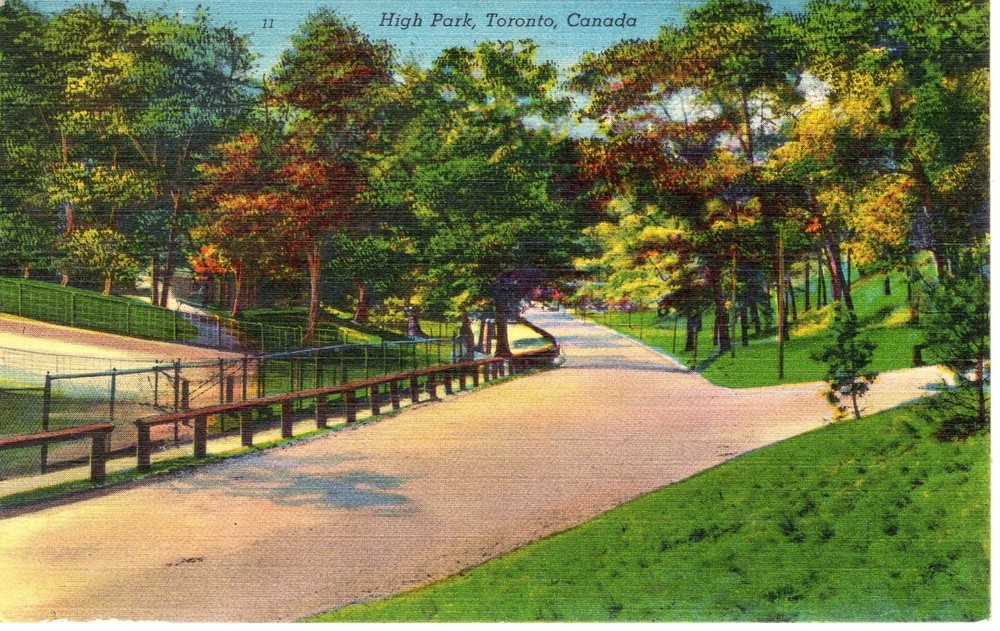 HIGH PARK, TORONTO, CANADA - PC6514