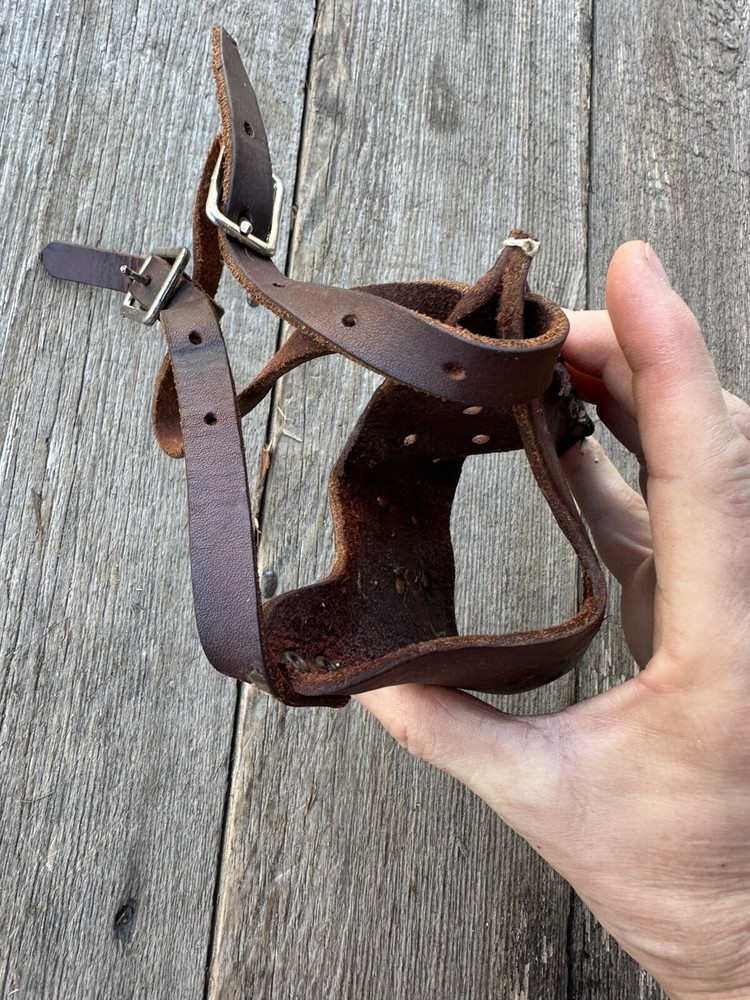 Leather Dog Muzzle