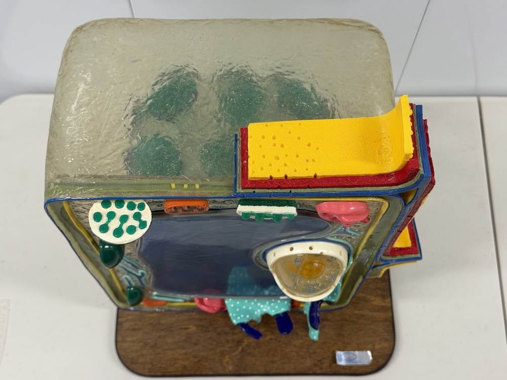 STACO Deluxe Plant Cell Model