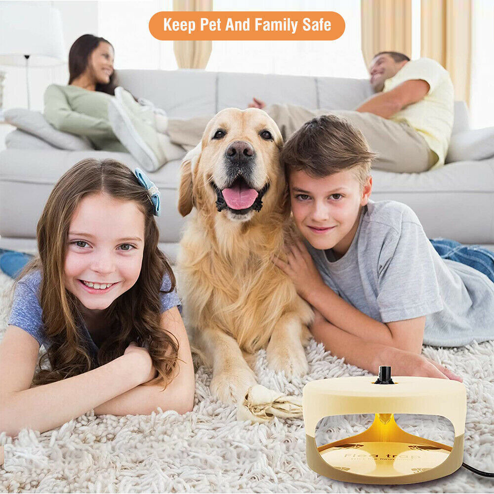 Flea Bed Bug Trap Odorless Cleaner and Flea Killer Trap Pad Sticky Indoor 2 Pack
