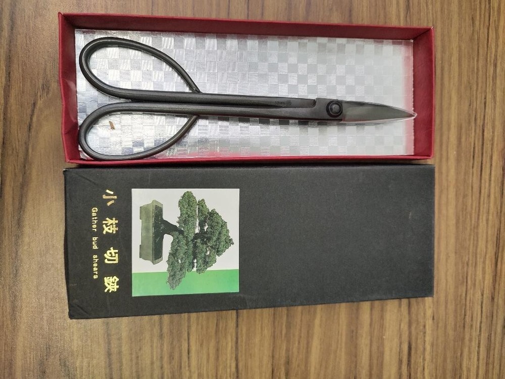 Bonsai gather bud shears