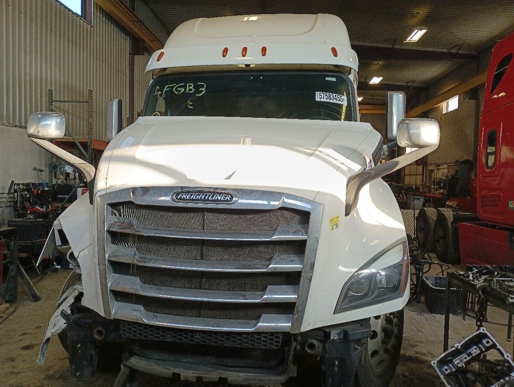 2019-UP Cascadia Bunk Ladder (12786746