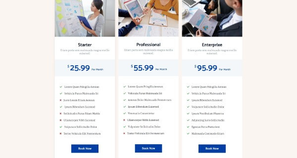 Premium Wordpress Elementor Template Kit Bundle | Finance & Law Firm theme