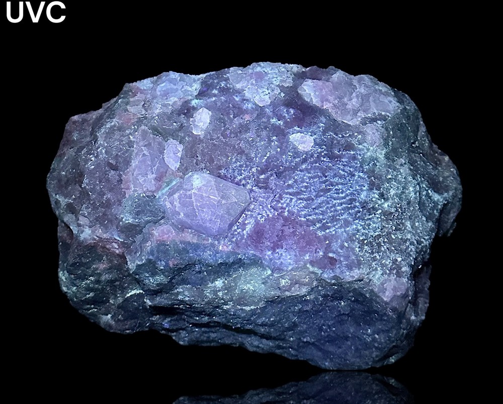1378 Gr. Fluorescent Phosphorescent Tenebrescent Hackmanite Crystals On Calcite