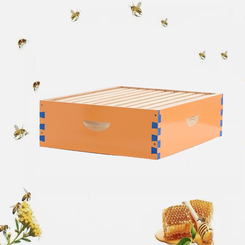 1 Layer Beehive Super Box Wax Langstroth Deep House + 10 Frames Beekeeping