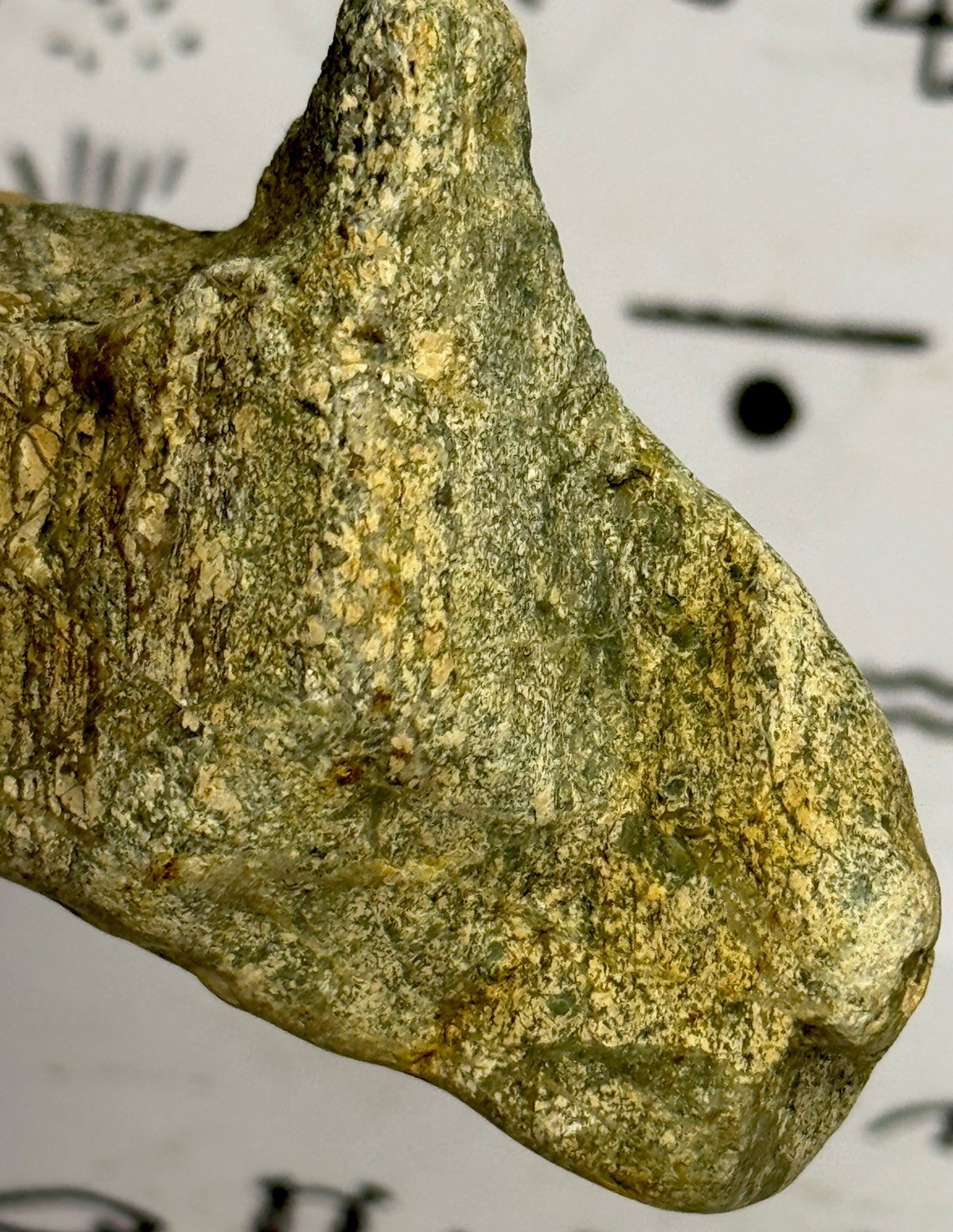 Native American Indian Authentic Artifact Stone Carved Effigy, 5.2 oz • VA