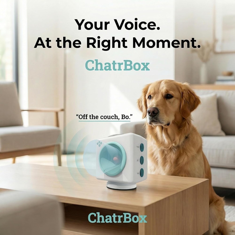 Pet Training Device for Immediate Behavior Control – Motion-Activated Voice G...