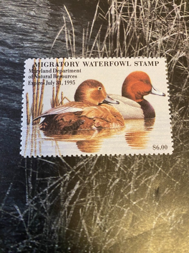 1994 Maryland State Duck Stamp,