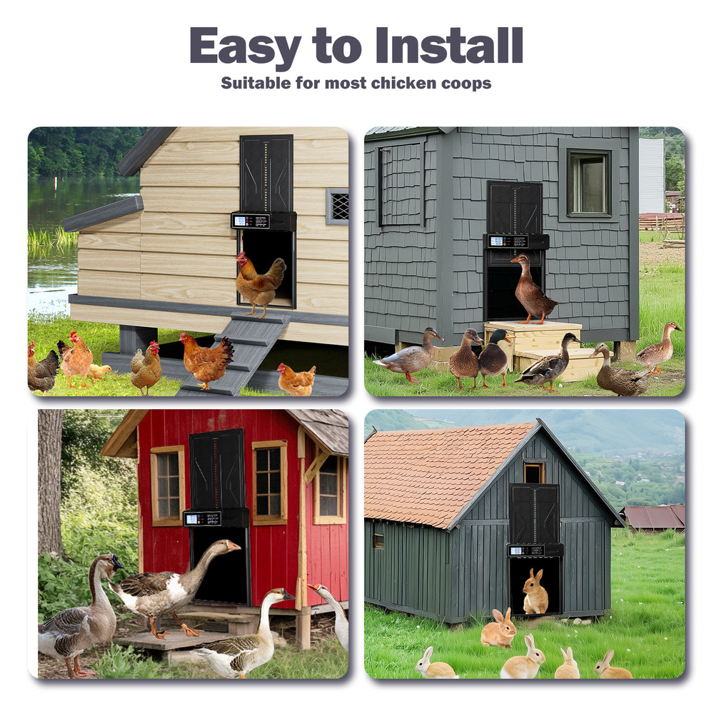 Extra Large Automatic Chicken Coop Door Battery Operated with Timer & LED Screen