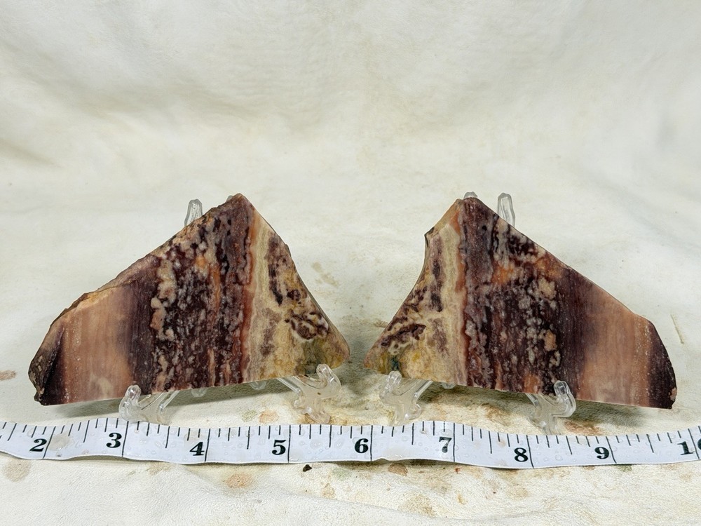 Windy Mountain Jasper Slab Set, Lot#346