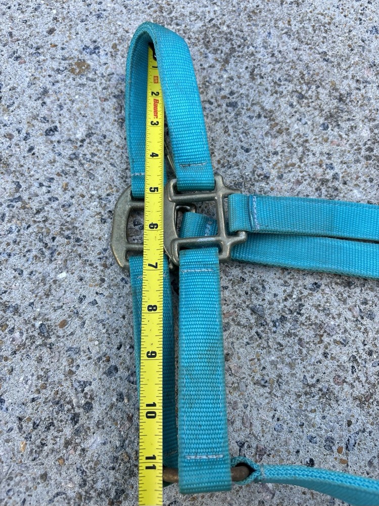 USED - Teal Blue Size Medium Horse Halter
