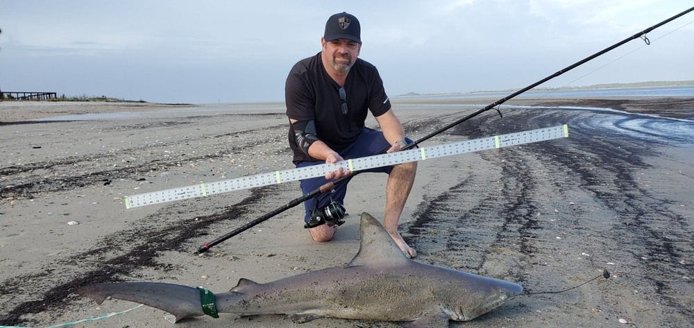 Shark Rig (The"Micah"Rig)