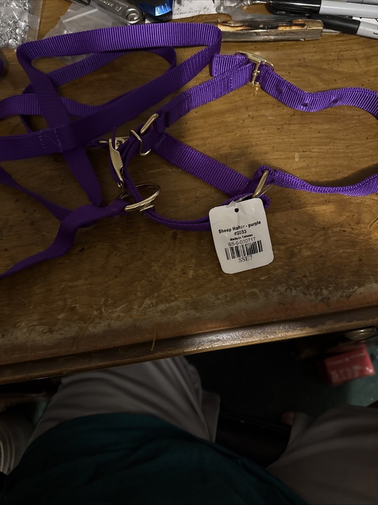 Sheep Halter With Lead. —Purple