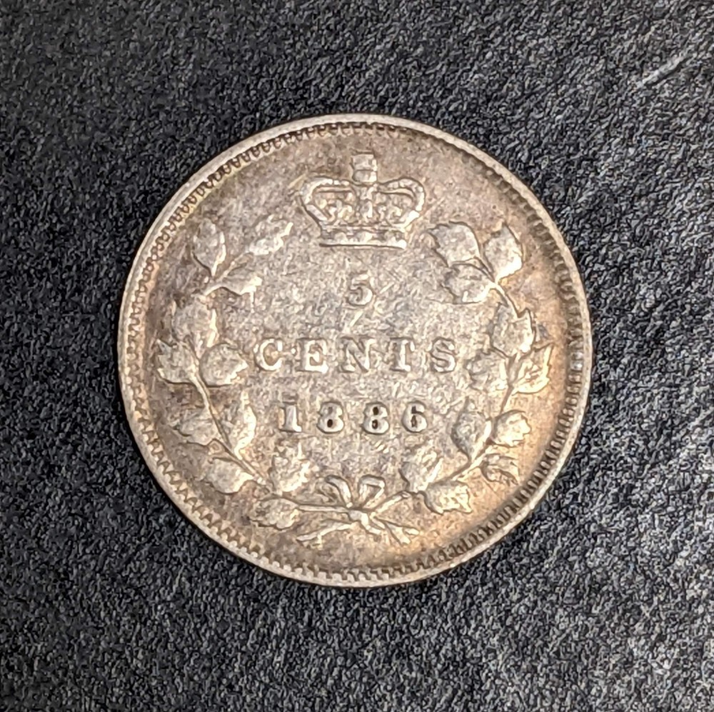 1886 Canada 5 Cent Silver Large 6 Victoria