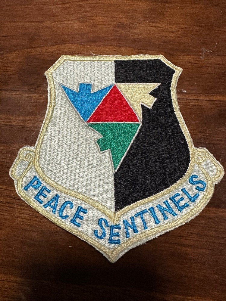 Vintage USAF 110th Tactical Air Support Group Patch