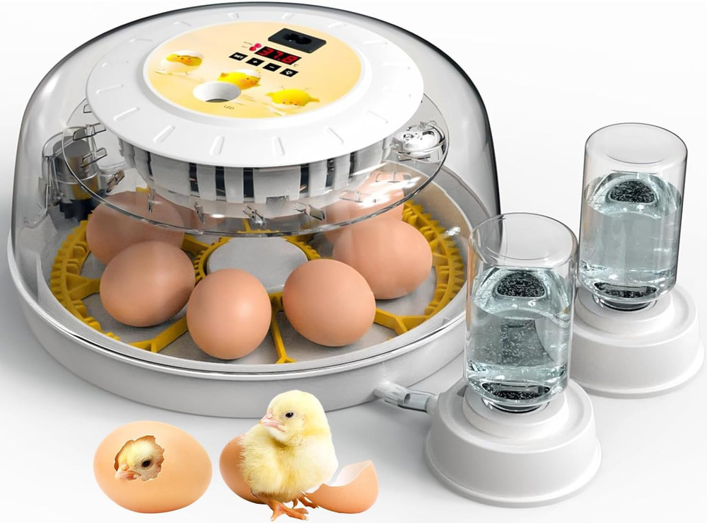 8 Egg Incubators for Hatching Eggs, Incubator for Chicken Eggs 360 Degree View,