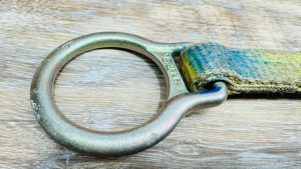 3M DBI Sala 1231117 1.5ft D-Ring Extension With Snap Hook