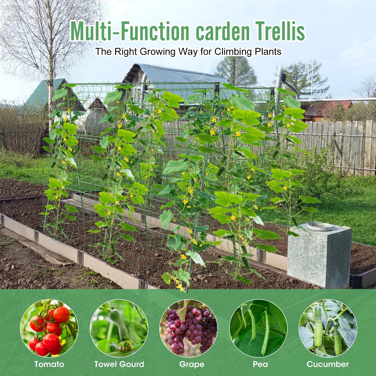 55" H x 36" W Cucumber Trellis for Raised Bed Garden, Trelli Black