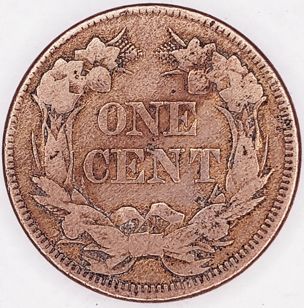 1858 FLYING EAGLE 1 CENT LARGE LETTERS DOUBLED DIE OBVERSE FINE #MC_710