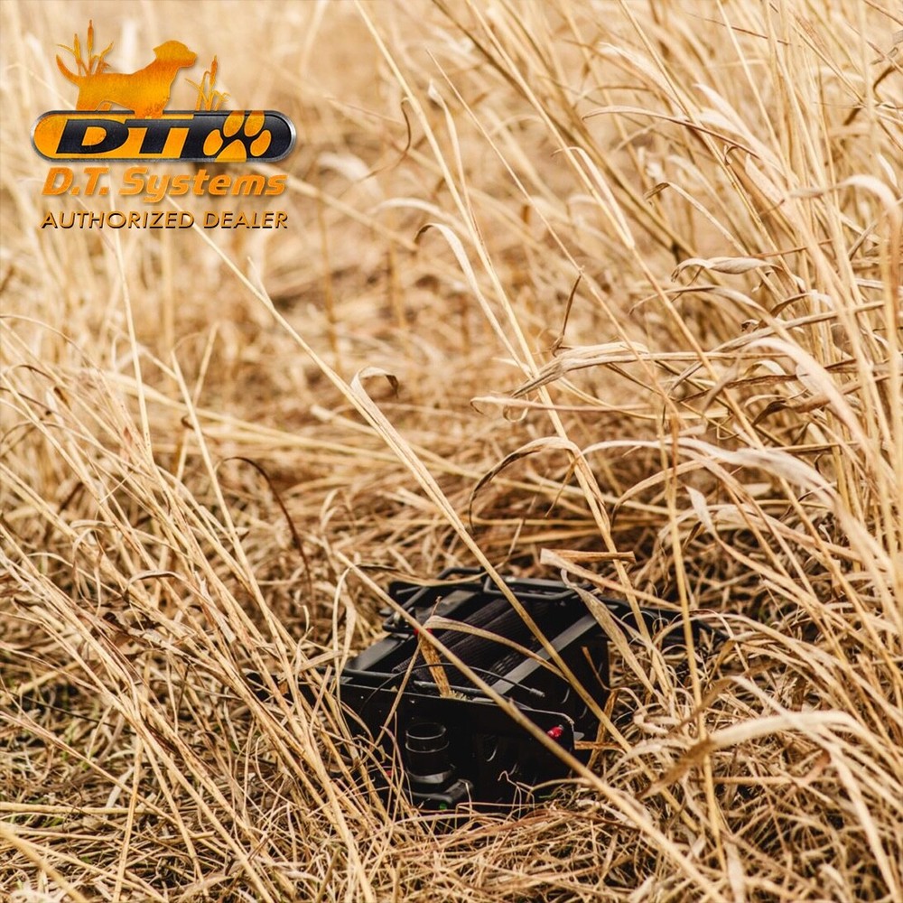 DT Systems BL 509 Small Bird Launcher System for Quail & Pigeon with Transmitter