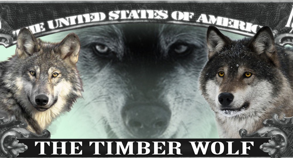Grey Timber Wolf Million Dollar Bill Play Funny Money Novelty Note + FREE SLEEVE