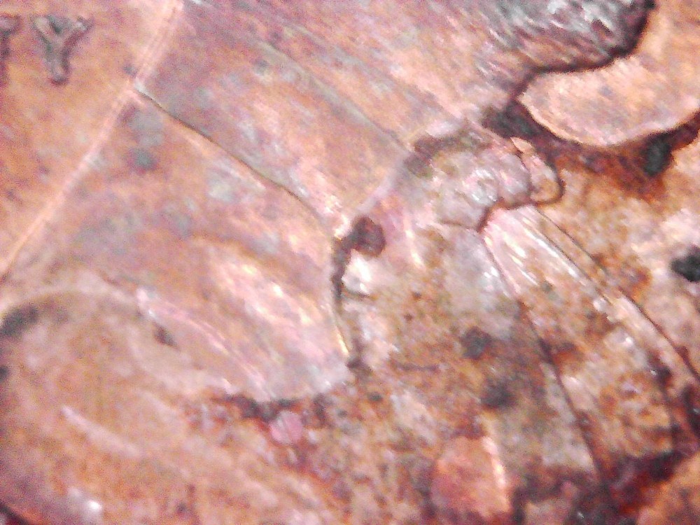 1998-D Lincoln Memorial Cent - Lamination error