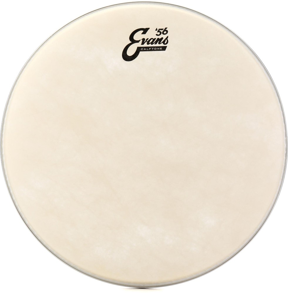 Evans Calftone Drumhead - 14"
