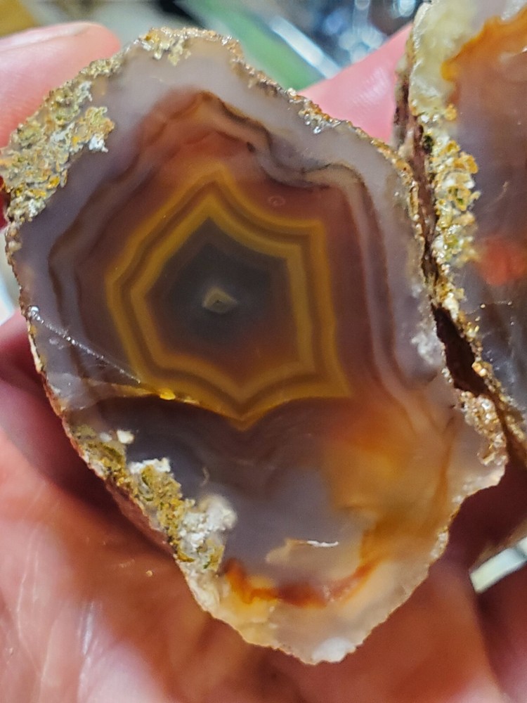 Banded Laguna Agate Rough Nodule Mexico Chihuahua 240g Lapidary PERCELLAS