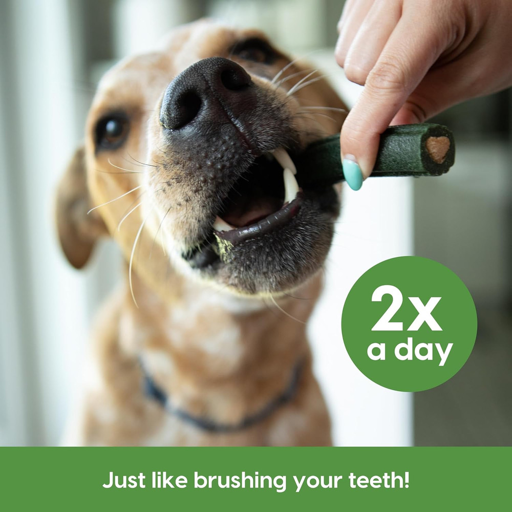 Brushless Dog Toothpaste Chews for Large Breeds, 18oz
