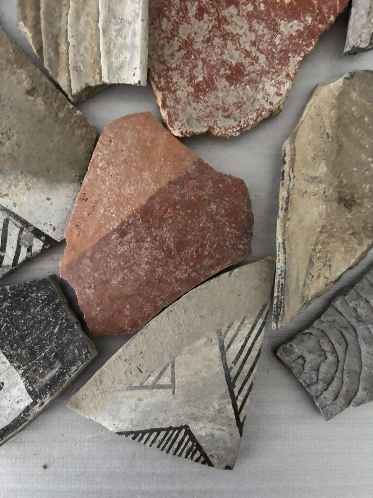 Ancient Anasazi Native American Pottery Shards Arizona L8F FREE SHIP