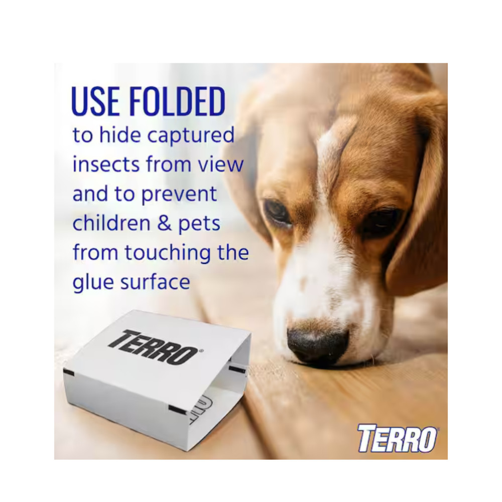 Terro T3206 Spider & Insect Traps – Indoor Use, 1 Pack, White