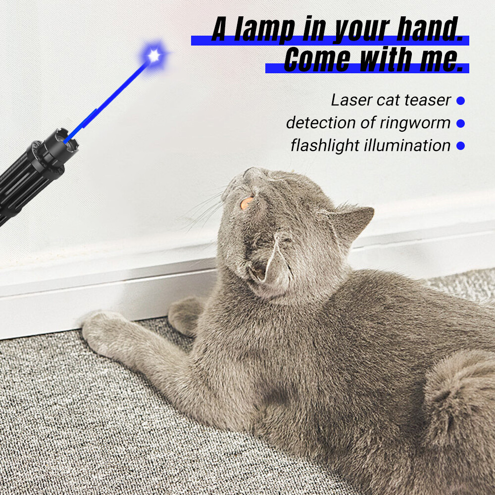 10W USB Charge Strong Blue Burning Laser Pointer Visible Beam Torch+5 Caps
