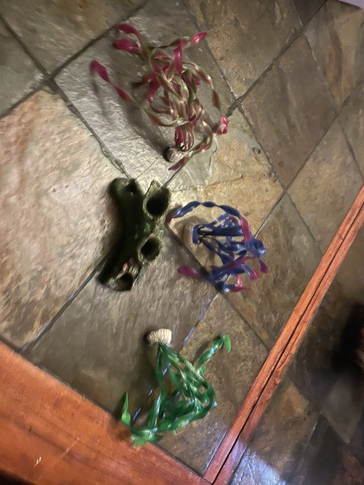 Fish Tank Accessories