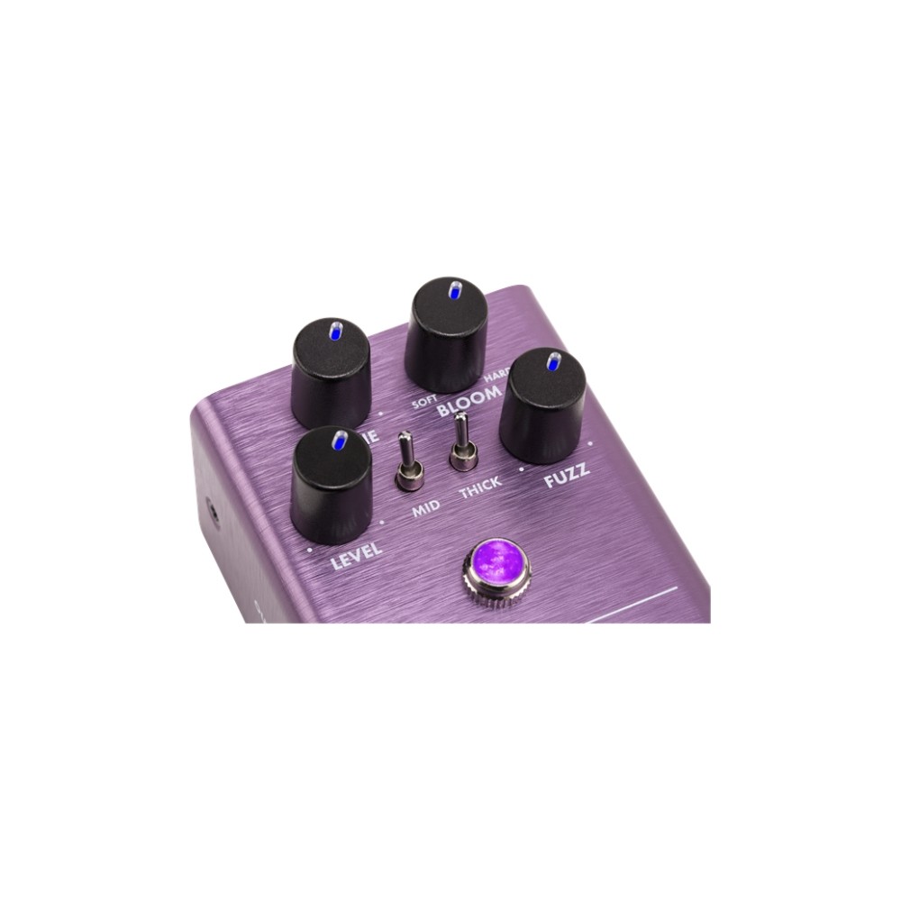 Fender The Pelt Fuzz Pedal (Open Box)