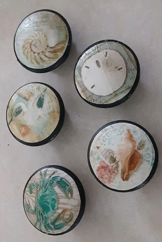 5PC HANDMADE Beach COTTAGE OCEAN Decorative Kitchen Cabinet Knobs Dresser Pulls