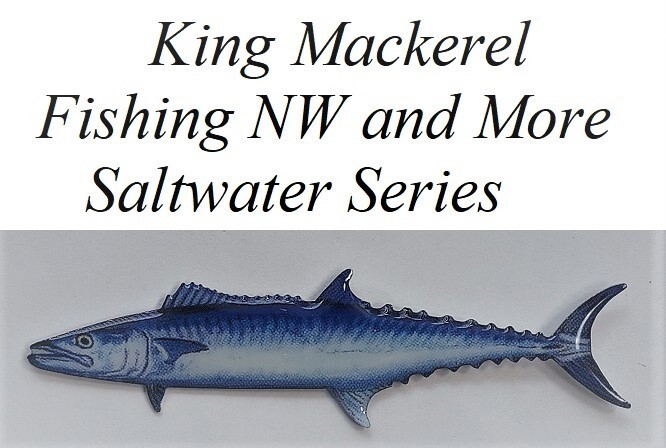 Dolphin Fish Hat or Lapel Pin - Saltwater Series