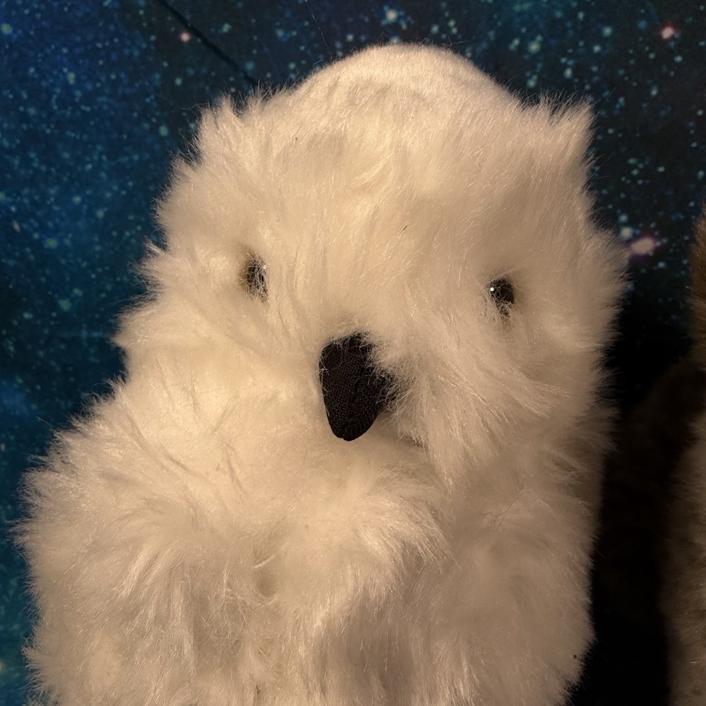 Universal Studios Wizarding World Harry Potter Hedwig Pigwidgeon Plush Pair
