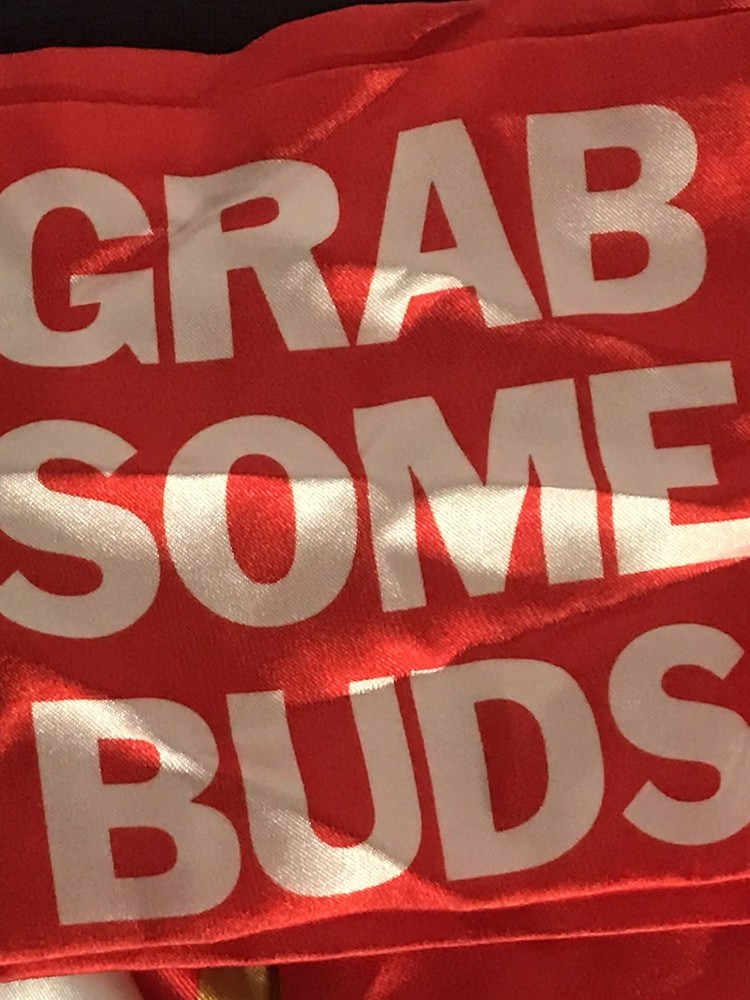 Budweiser Grab Some Buds Scarf