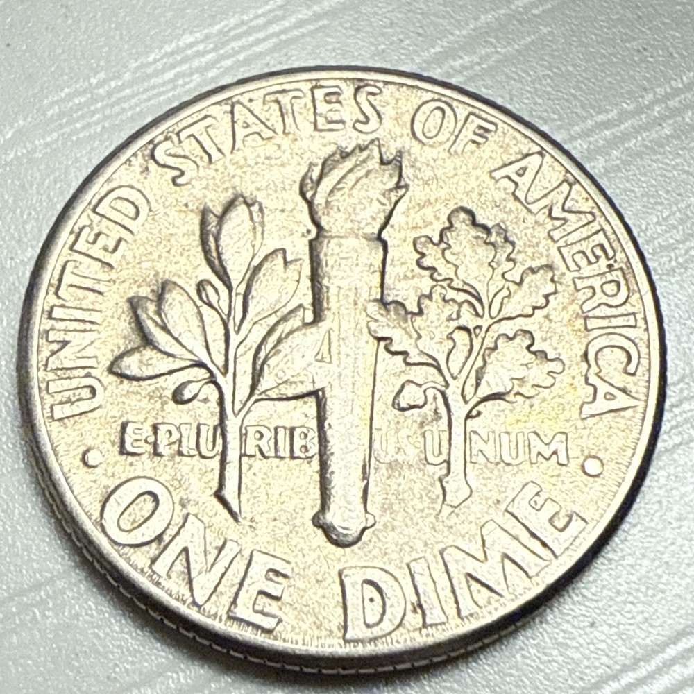 1977 ROOSEVELT DIME RARE ERRORS LOOK FOR YOUR SELF MULTIPLE ERRORS