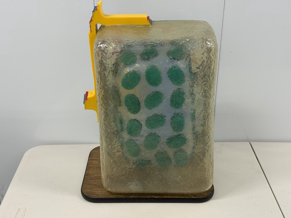 STACO Deluxe Plant Cell Model