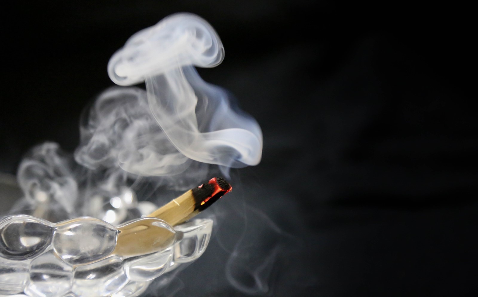 Palo Santo Incense 25 fresh sticks (4+inches long)