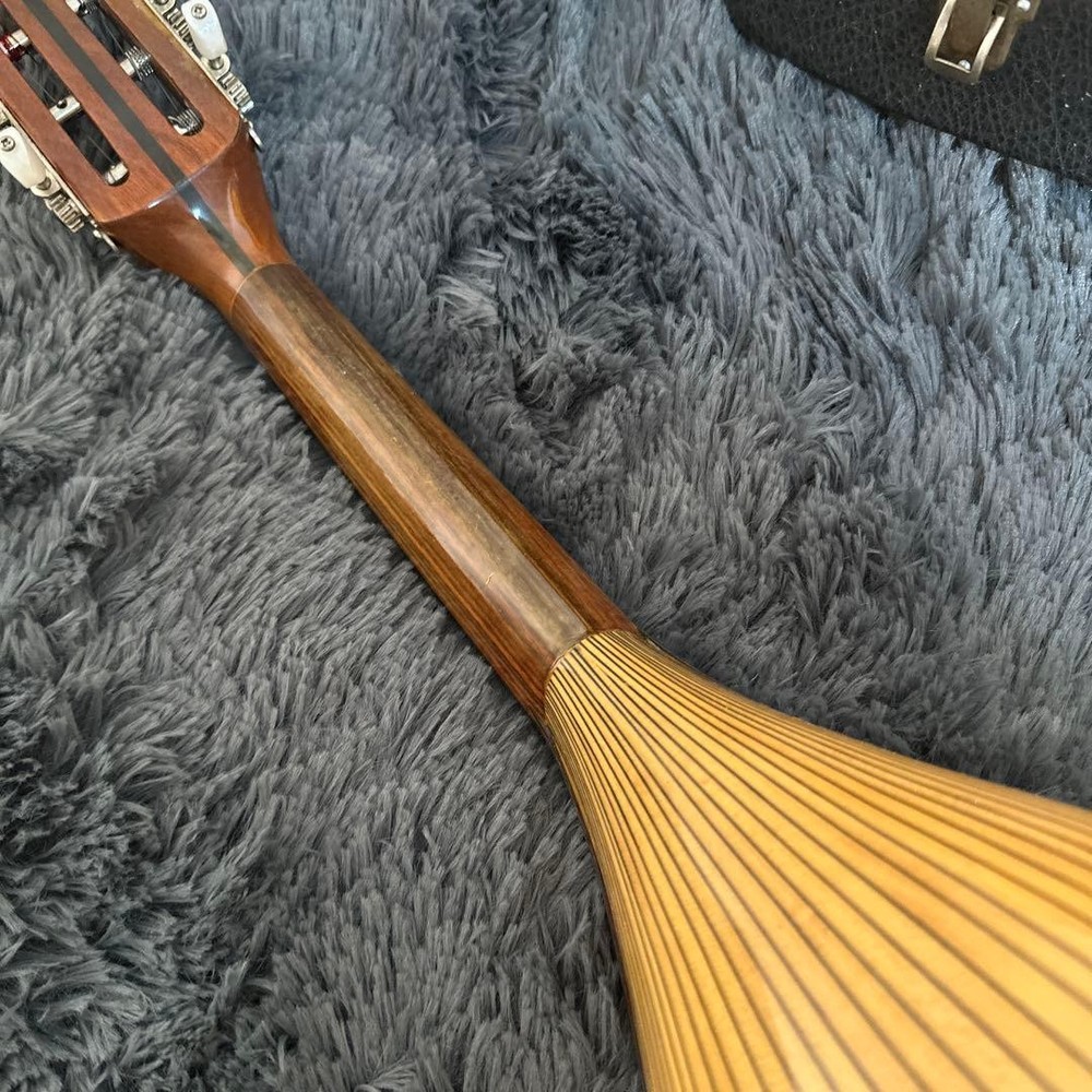 Misuzu Mandolin String Instrument Hard Case Supervised by Minoru Noguchi Luxury