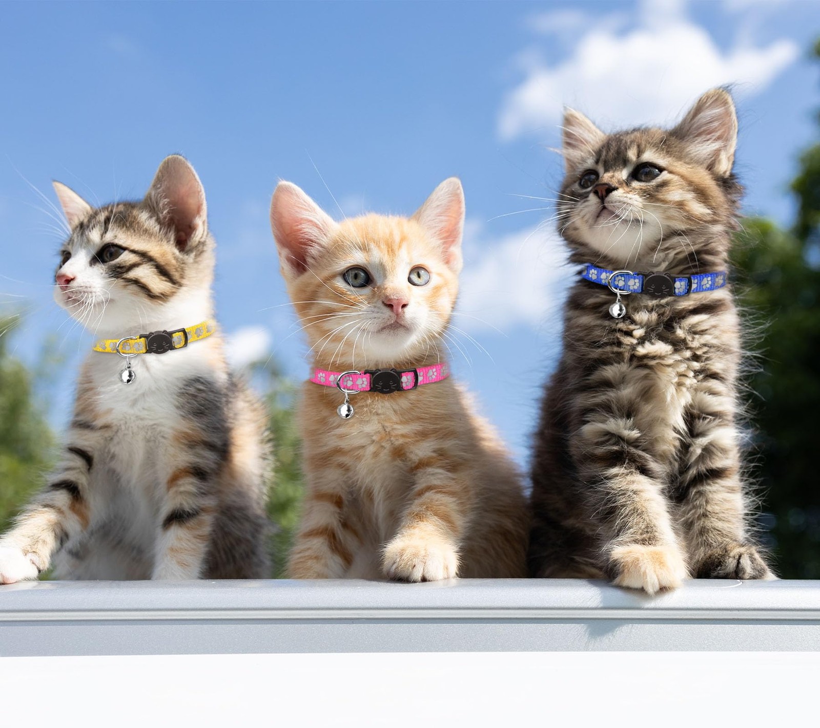 Breakaway Cat Collars Reflective Identification Collars with Bells 16 Pack