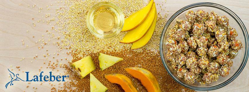 Lafeber Tropical Fruit Nutri-Berries for Cockatiel - 10oz.