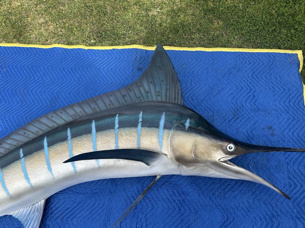 9 Foot Marlin