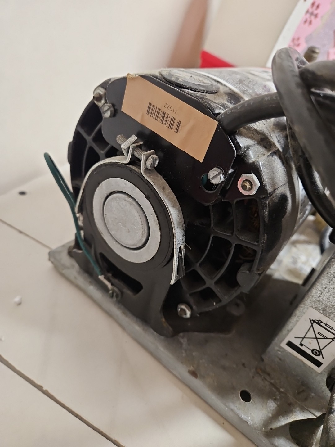 Cornelius 120V, 60Hz, 1/3HP Pump And Motor Assembly - 620408124