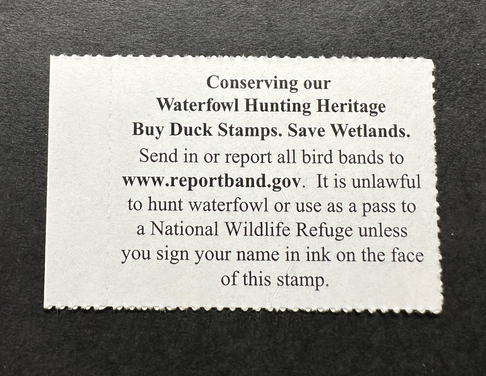 WTDstamps - #RW86 2019 - US Federal Duck Stamp - Mint OG NH **WELL CENTERED**